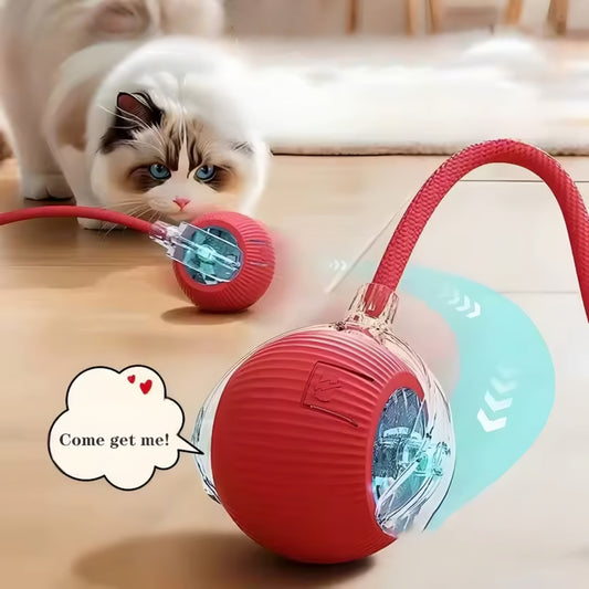 Smart Interactive Rolling Ball for Pets
