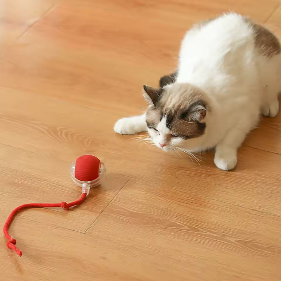 Smart Interactive Rolling Ball for Pets