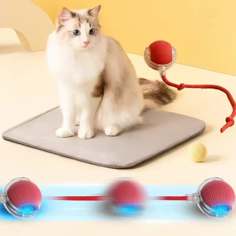 Smart Interactive Rolling Ball for Pets