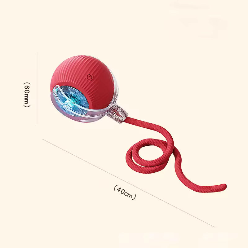 Smart Interactive Rolling Ball for Pets