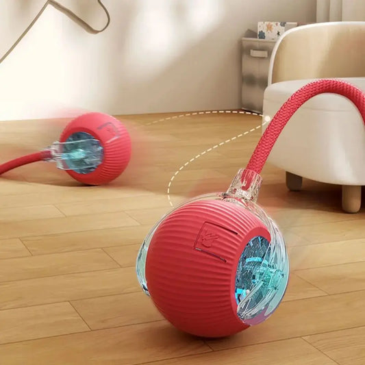 Smart Interactive Rolling Ball for Pets